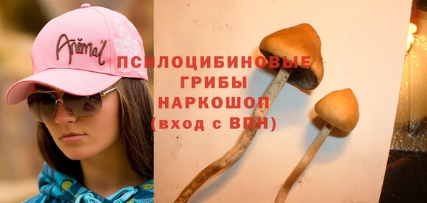 a pvp Покров
