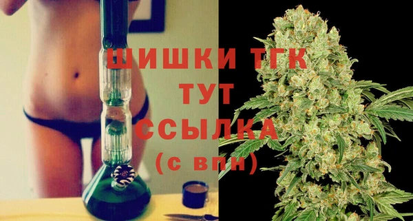 Альфа ПВП Пересвет
