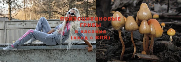 Альфа ПВП Пересвет