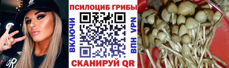 дарнет шоп  Красково  darknet официальный сайт  Галлюциногенные грибы ЛСД 