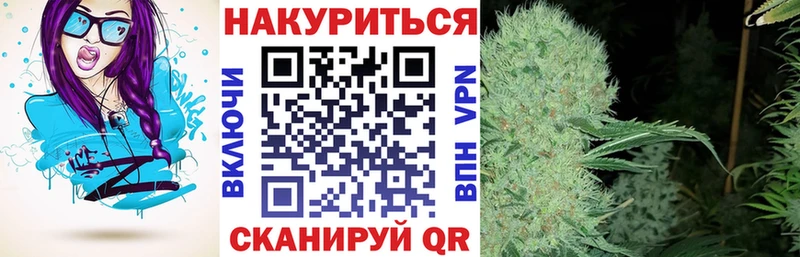 Каннабис план  OMG ONION  Красково 